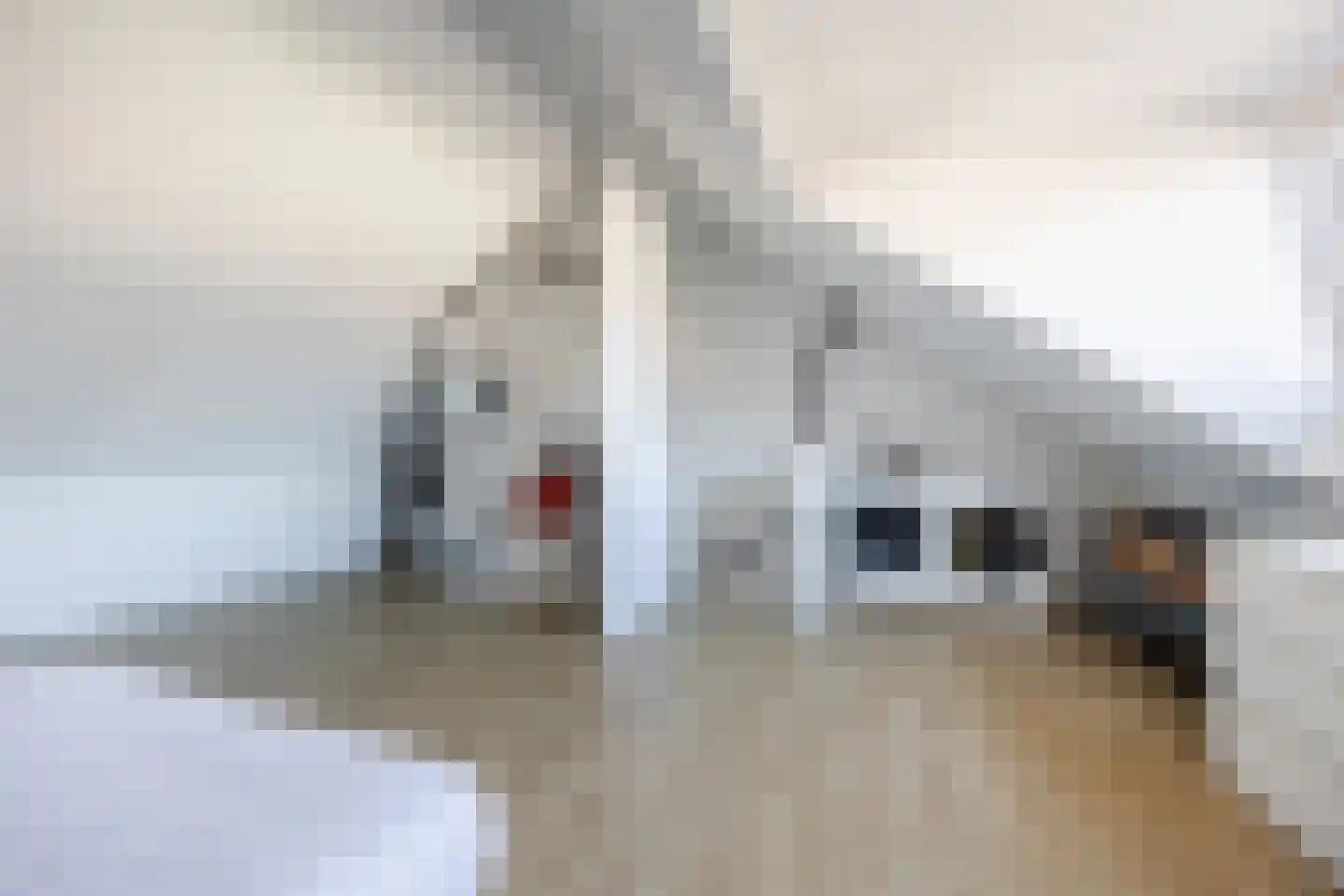 Elsthof 17 Hilvarenbeek thumbnail 36