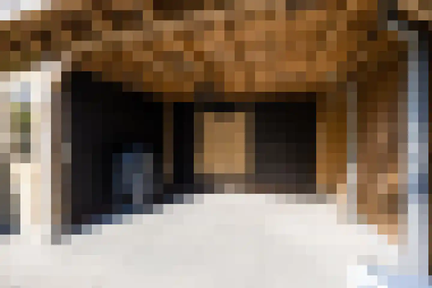 Elsthof 17 Hilvarenbeek thumbnail 41