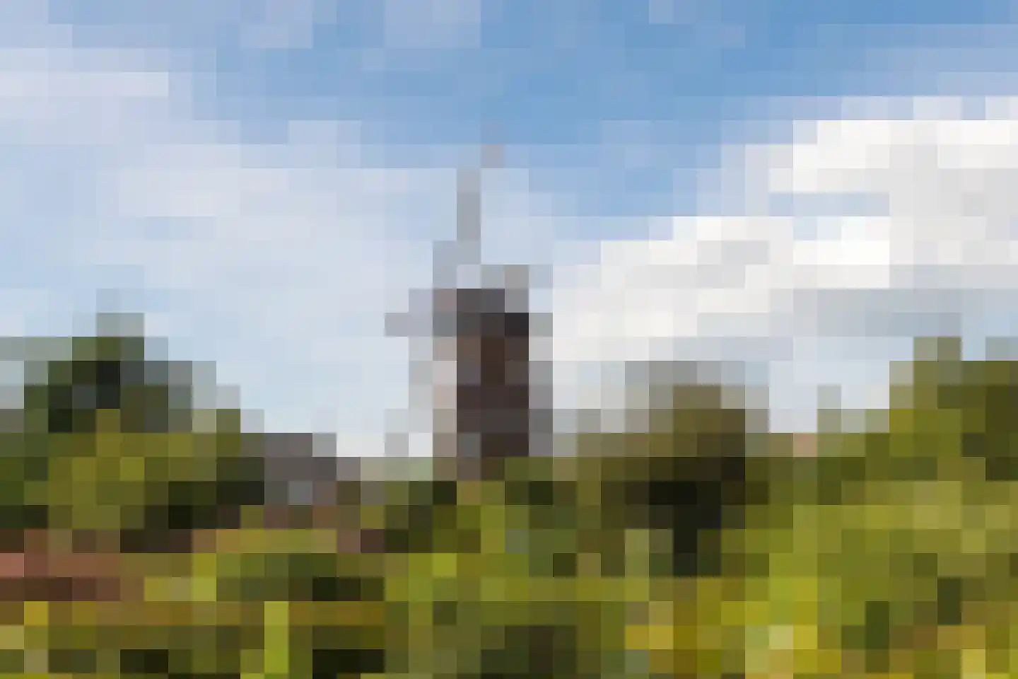 Elsthof 17 Hilvarenbeek thumbnail 48