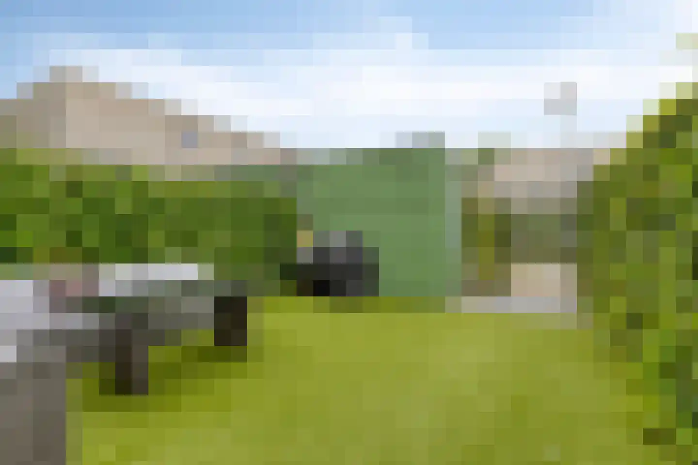 Elsthof 67 Eindhoven thumbnail 18