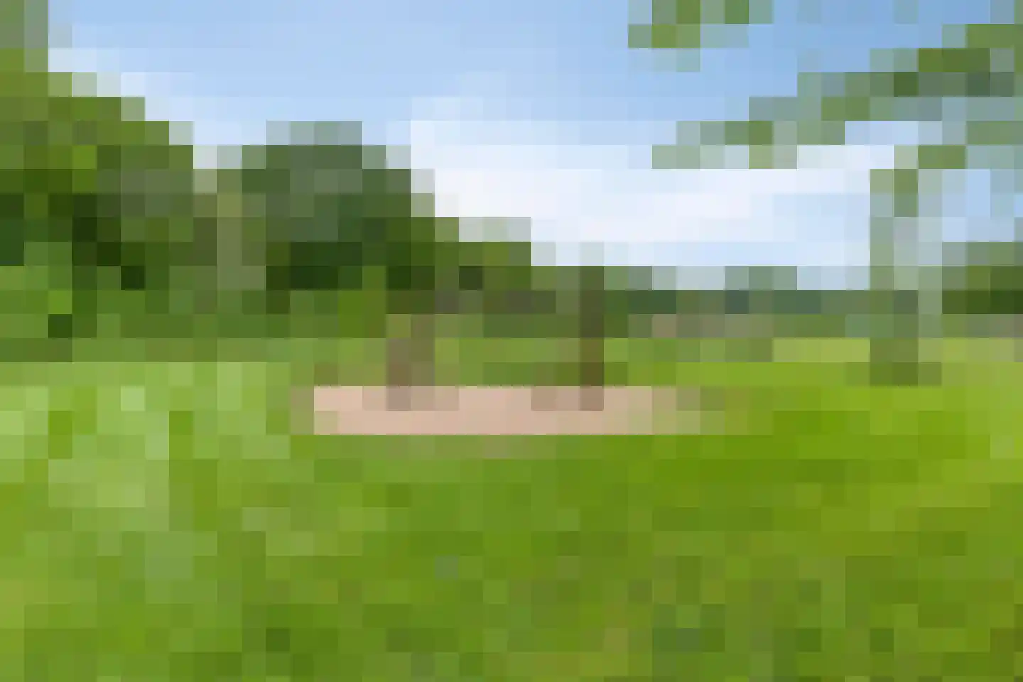 Elsthof 67 Eindhoven thumbnail 22