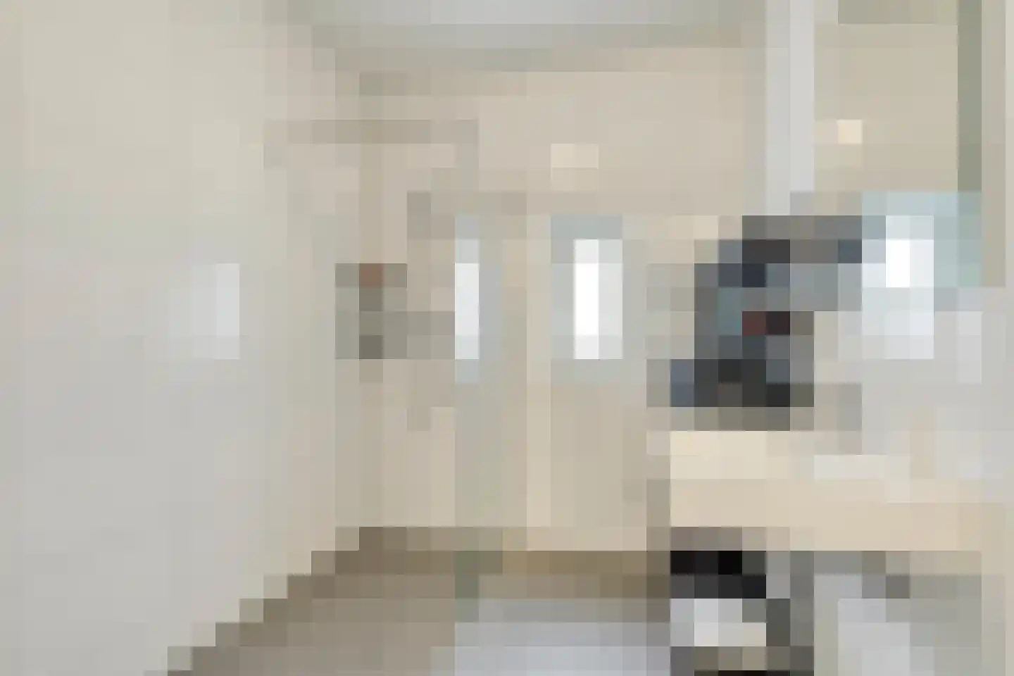 Elsthof 67 Eindhoven thumbnail 26