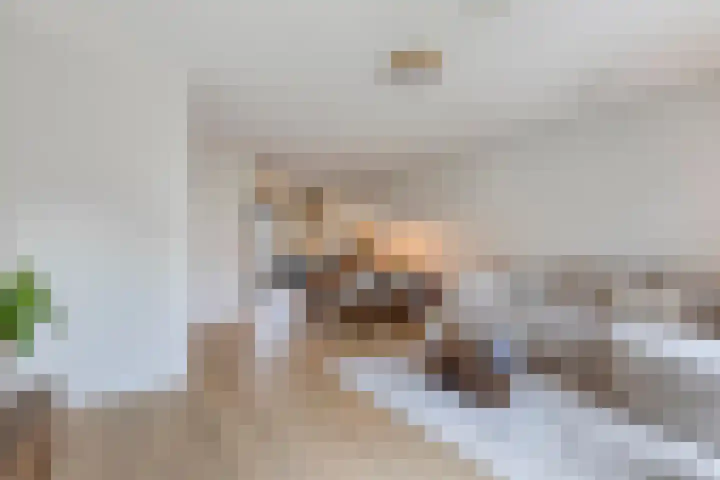 Elsthof 67 Eindhoven thumbnail 6