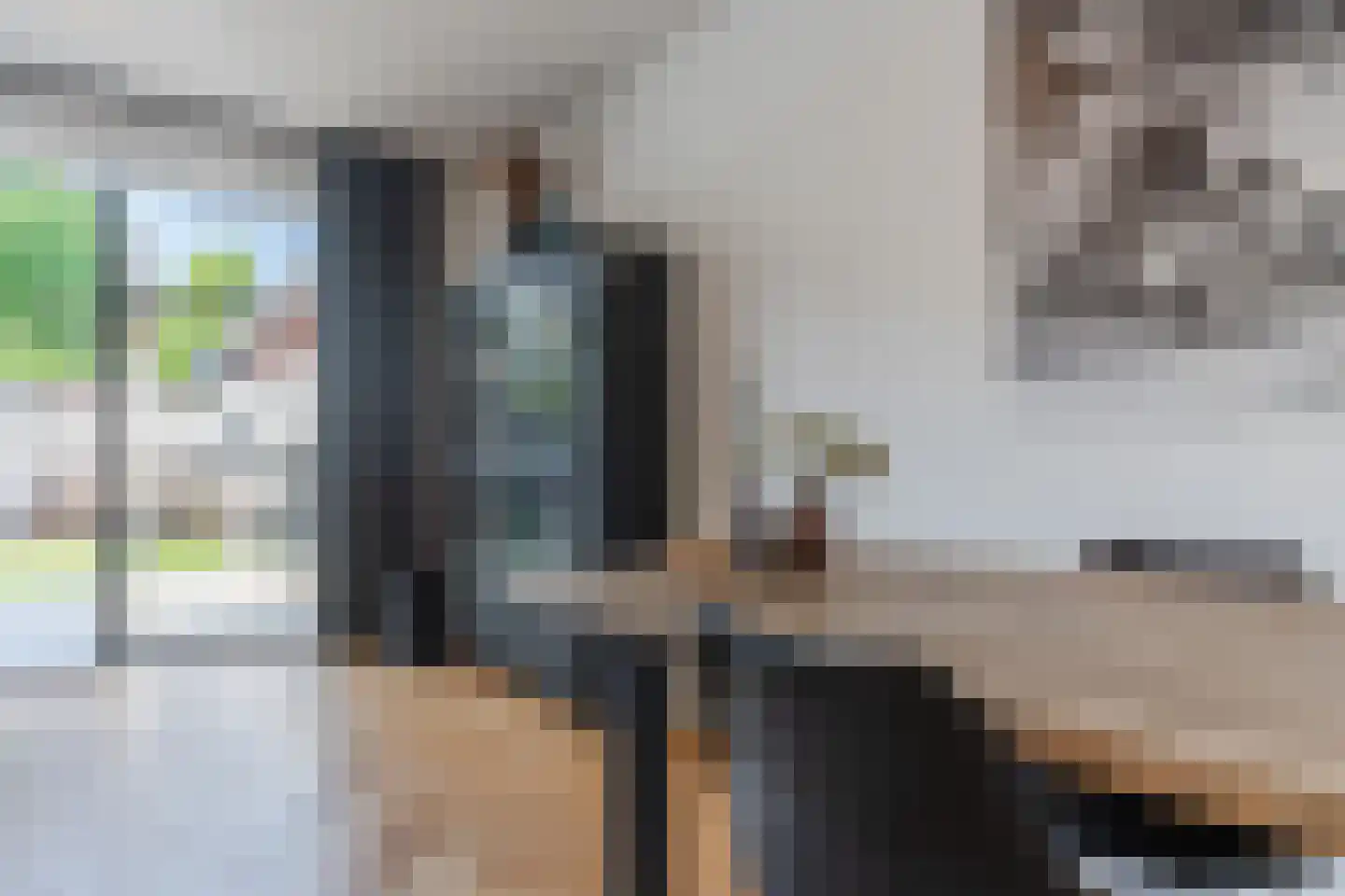 Elsthof 7 Hilvarenbeek thumbnail 13
