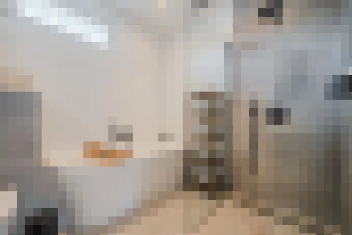 Elsthof 7 Hilvarenbeek thumbnail 39