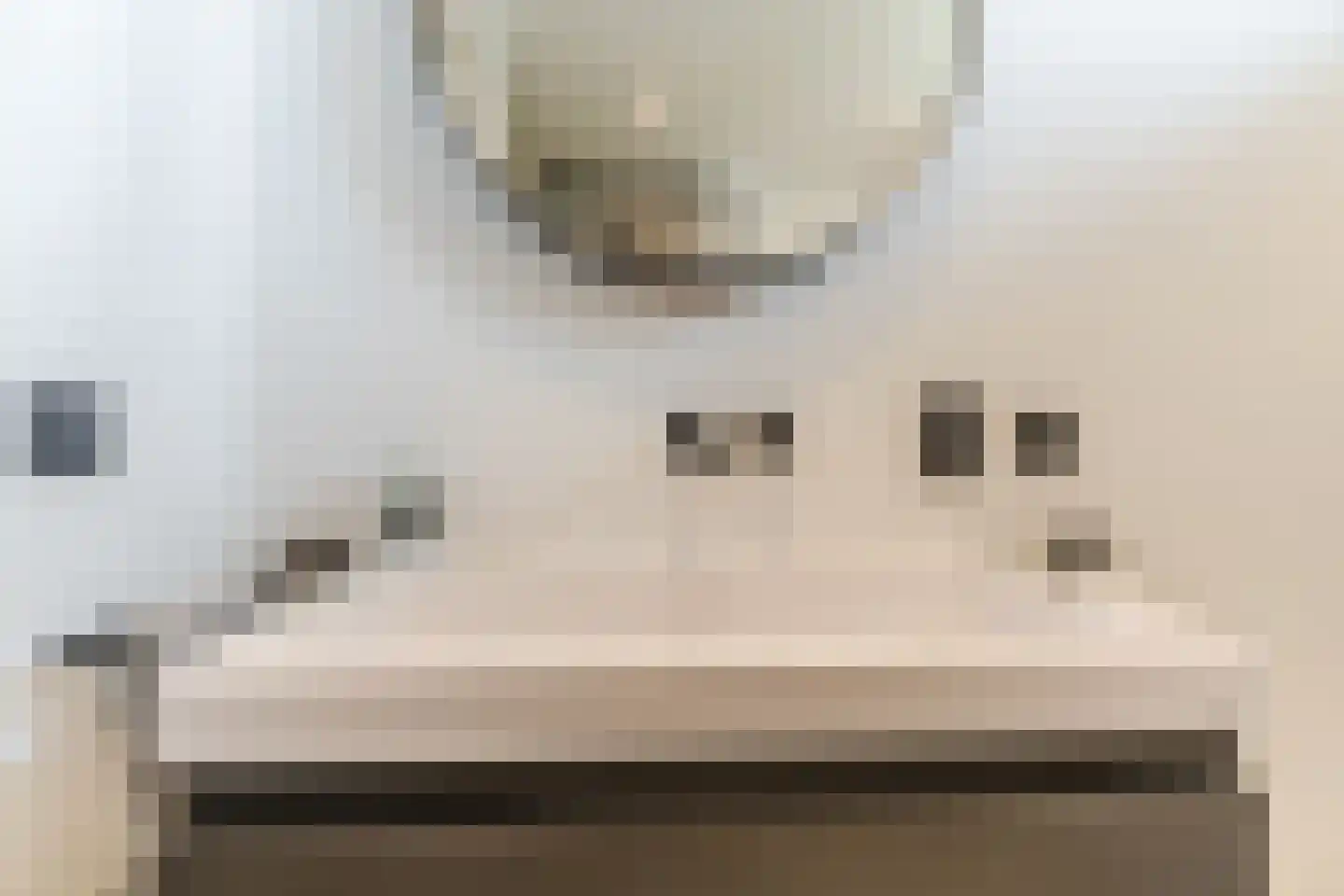 Elsthof 7 Hilvarenbeek thumbnail 42