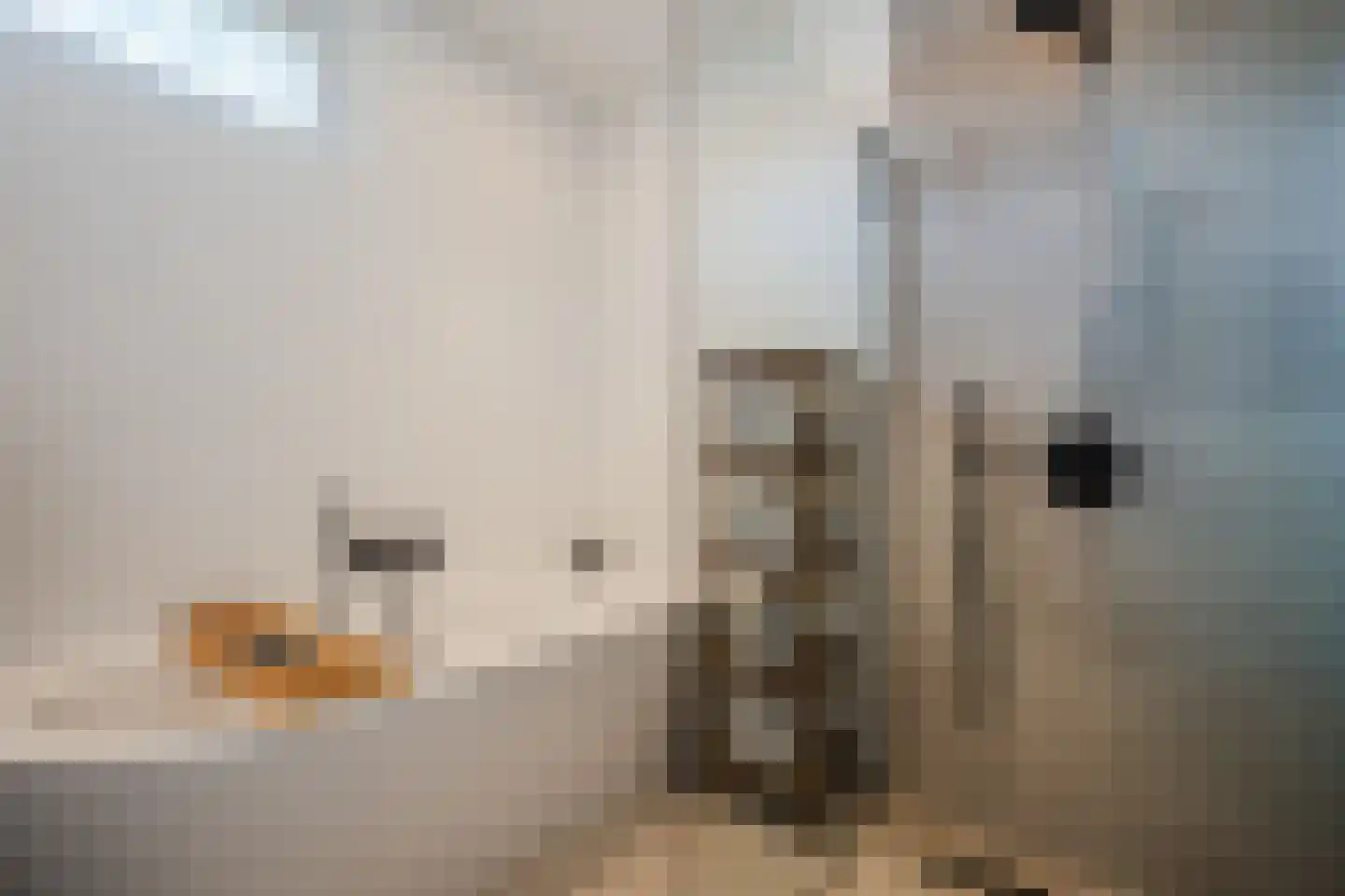 Elsthof 7 Hilvarenbeek thumbnail 43