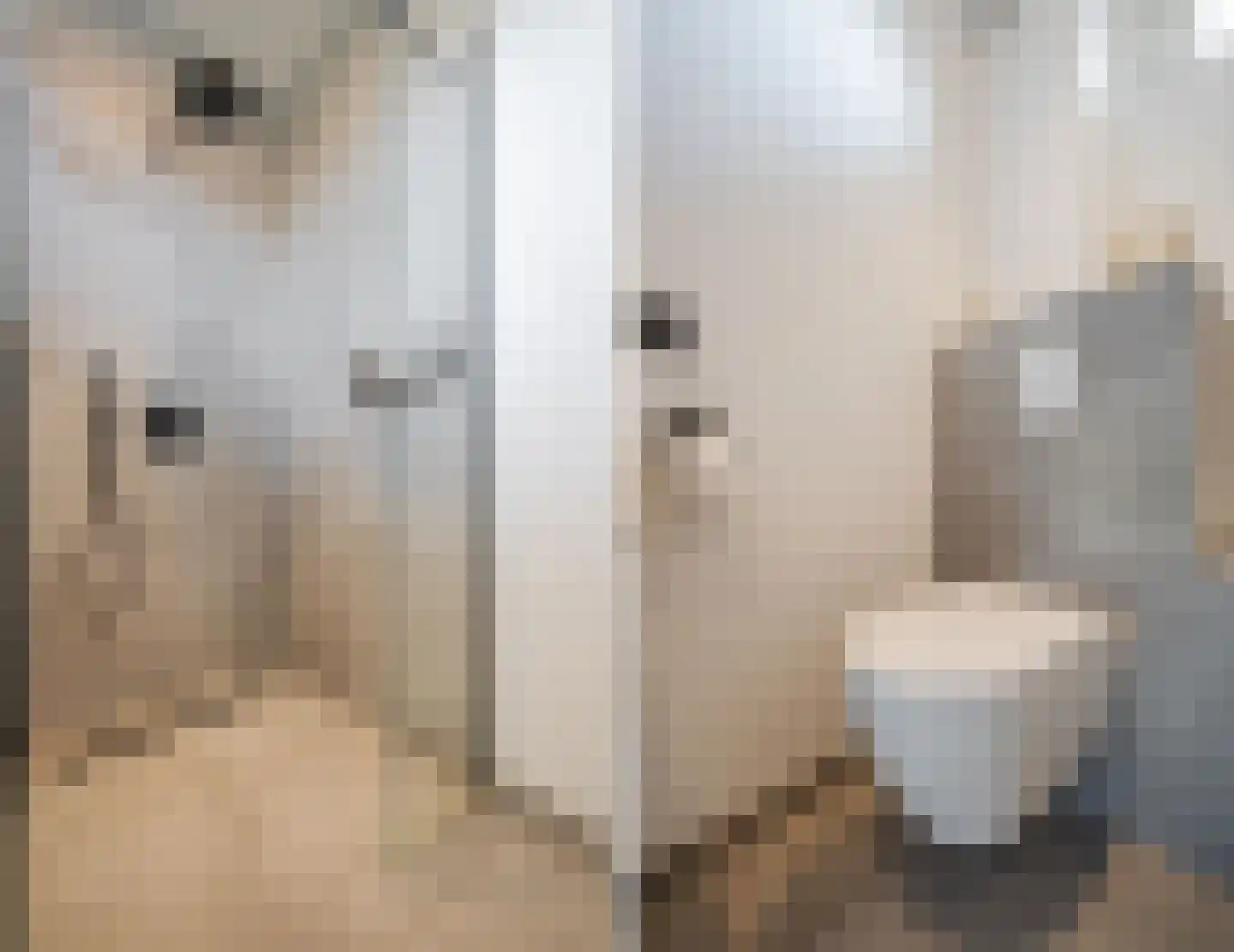 Elsthof 7 Hilvarenbeek thumbnail 45