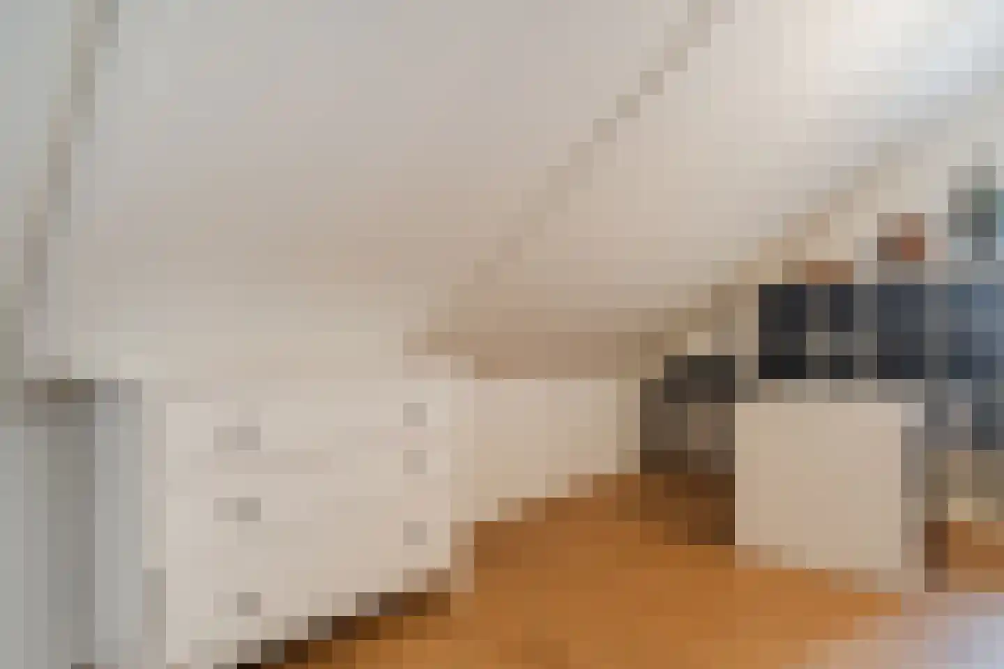 Elsthof 7 Hilvarenbeek thumbnail 46