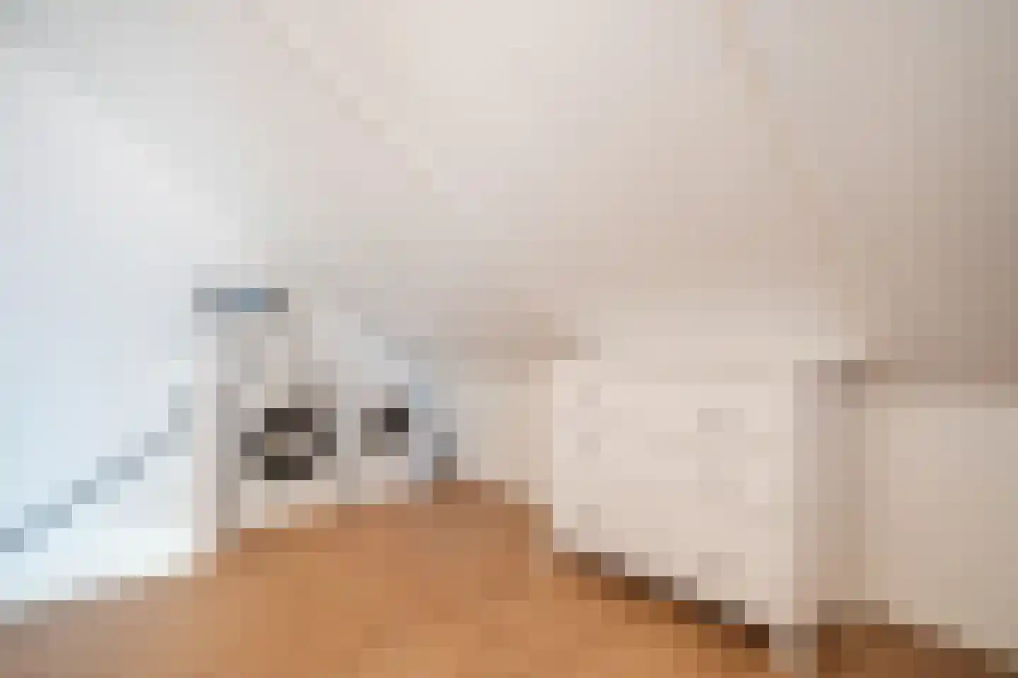 Elsthof 7 Hilvarenbeek thumbnail 48