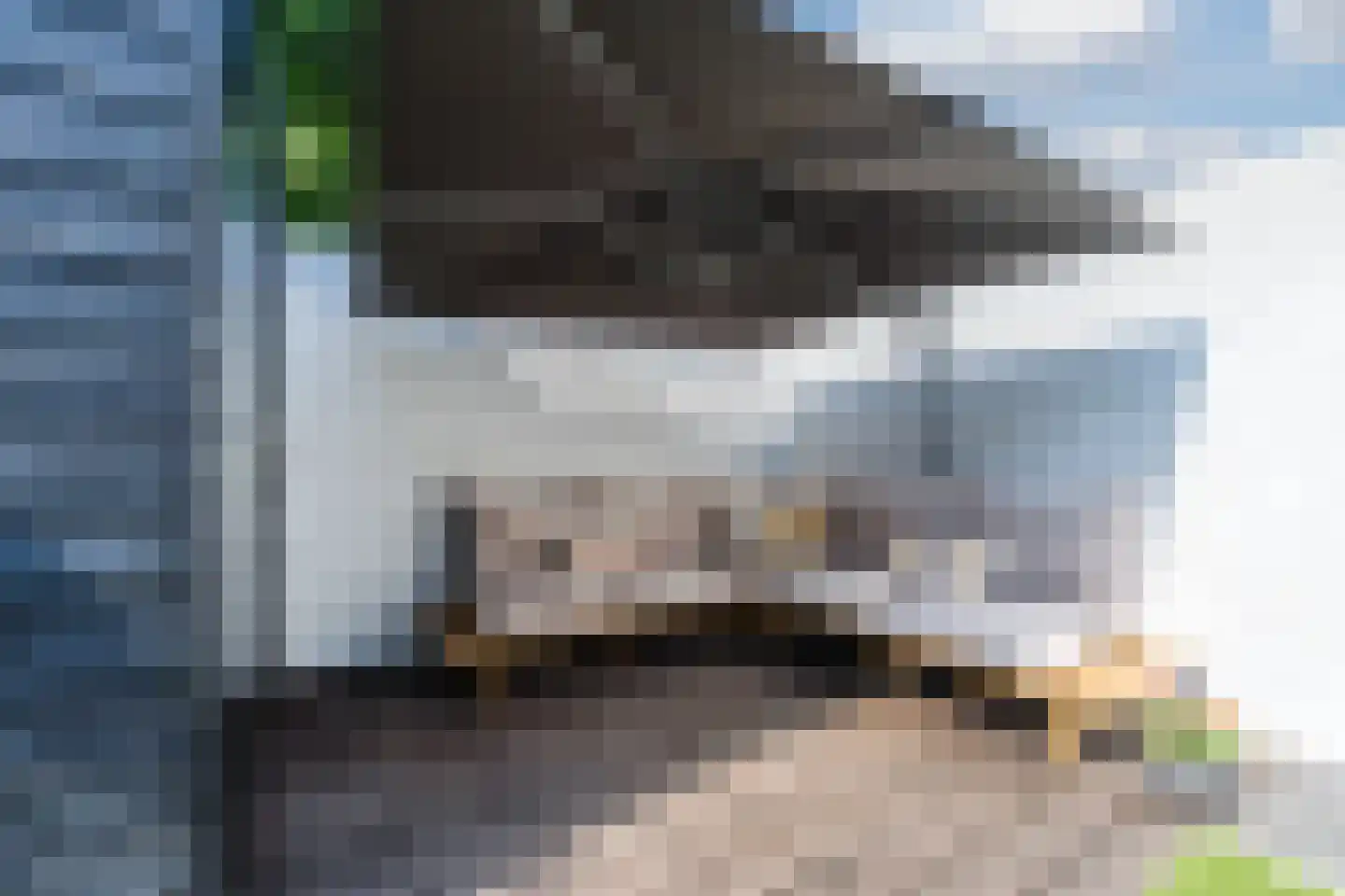 Elsthof 7 Hilvarenbeek thumbnail 52
