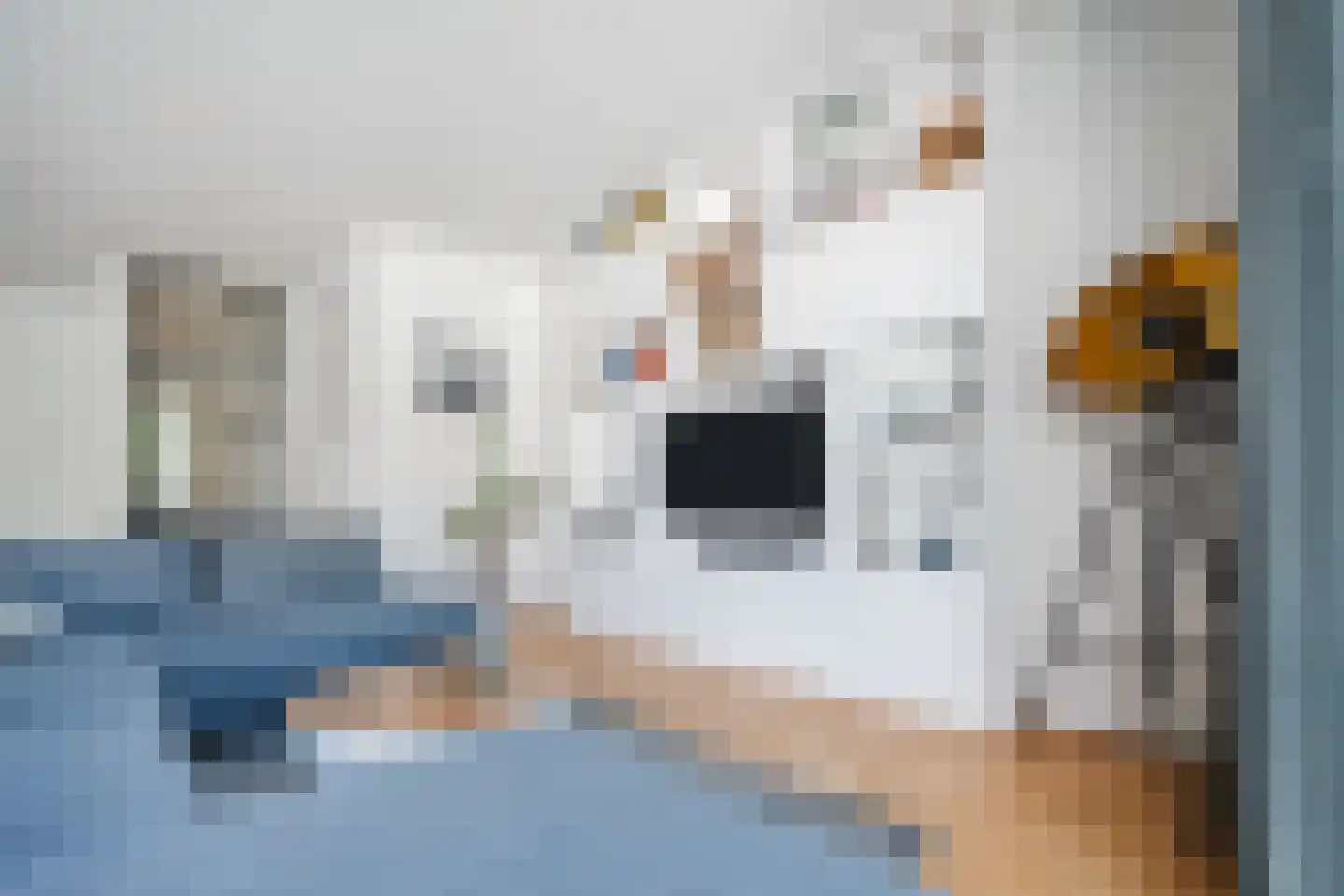 Elsthof 7 Hilvarenbeek thumbnail 7