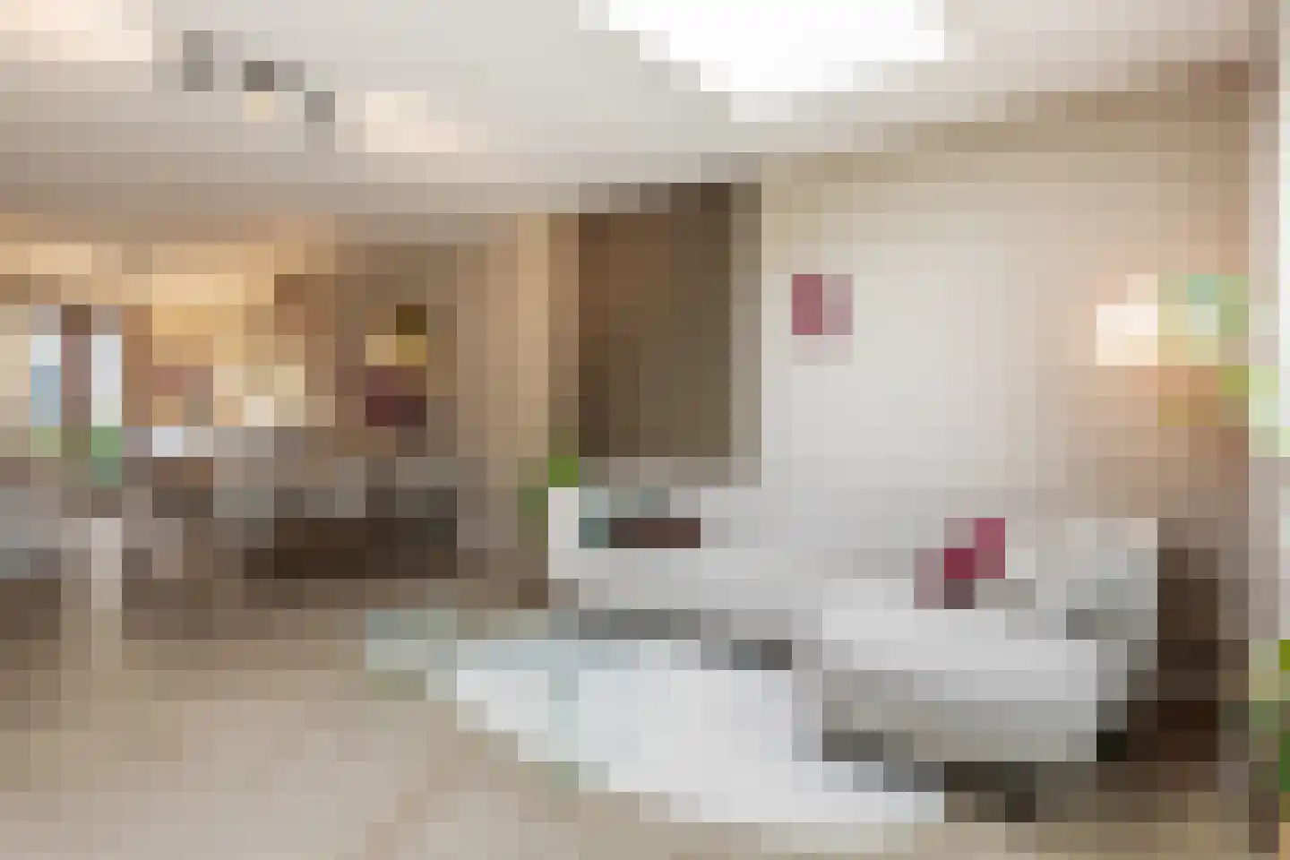 Elsthof 70 Eindhoven thumbnail 21