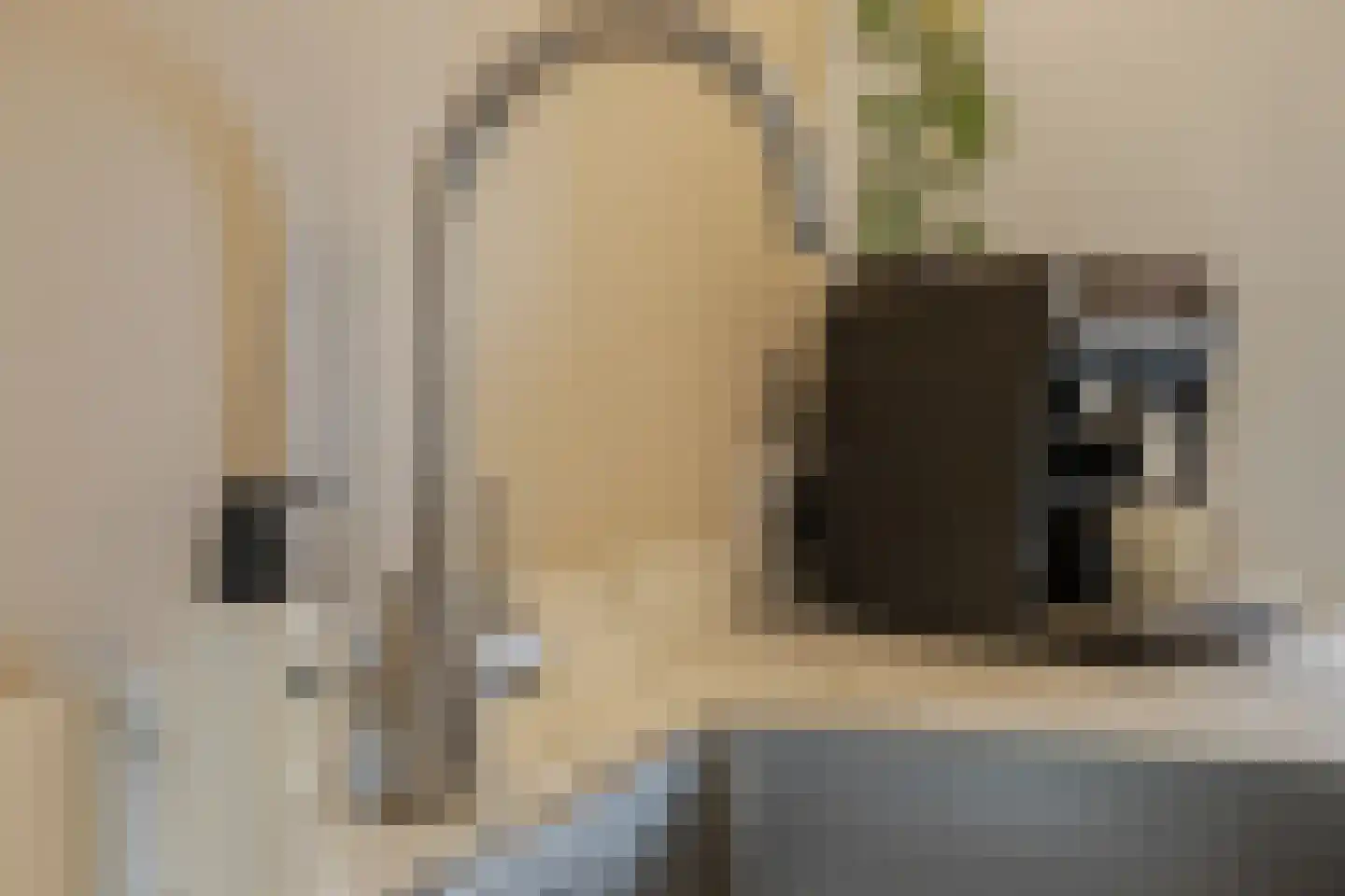 Elsthof 70 Eindhoven thumbnail 30