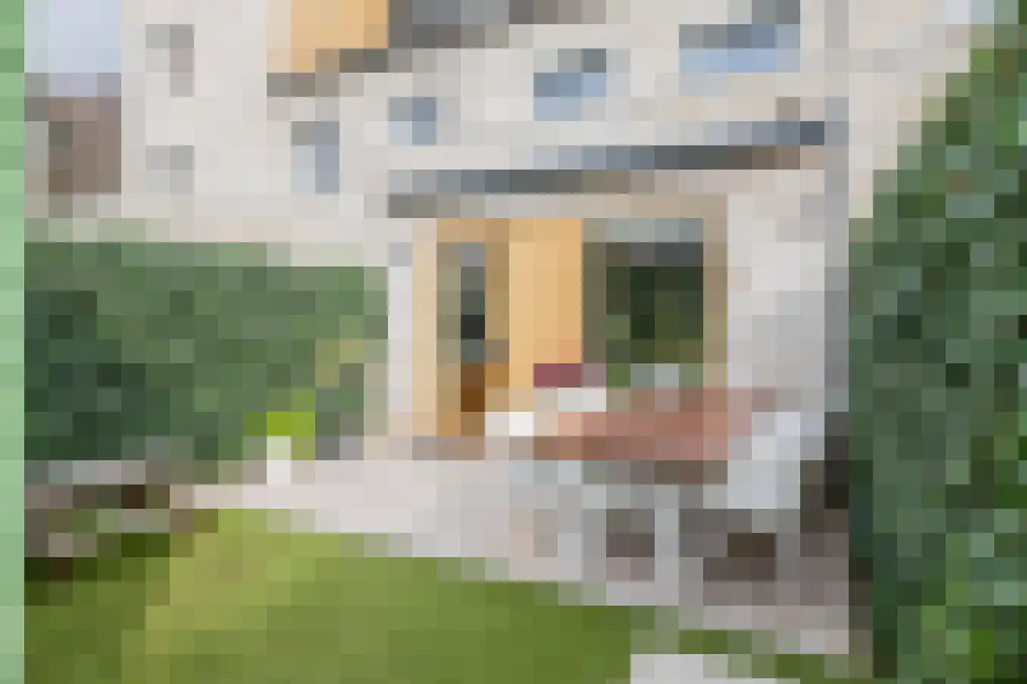 Elsthof 70 Eindhoven thumbnail 47