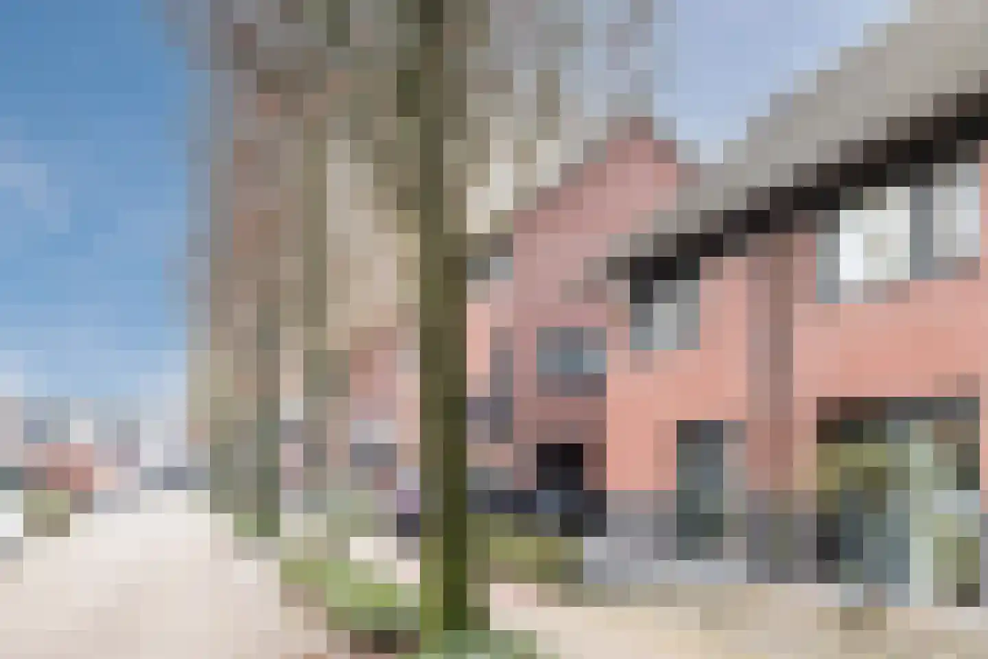Elstpad 22 Hilvarenbeek thumbnail 36