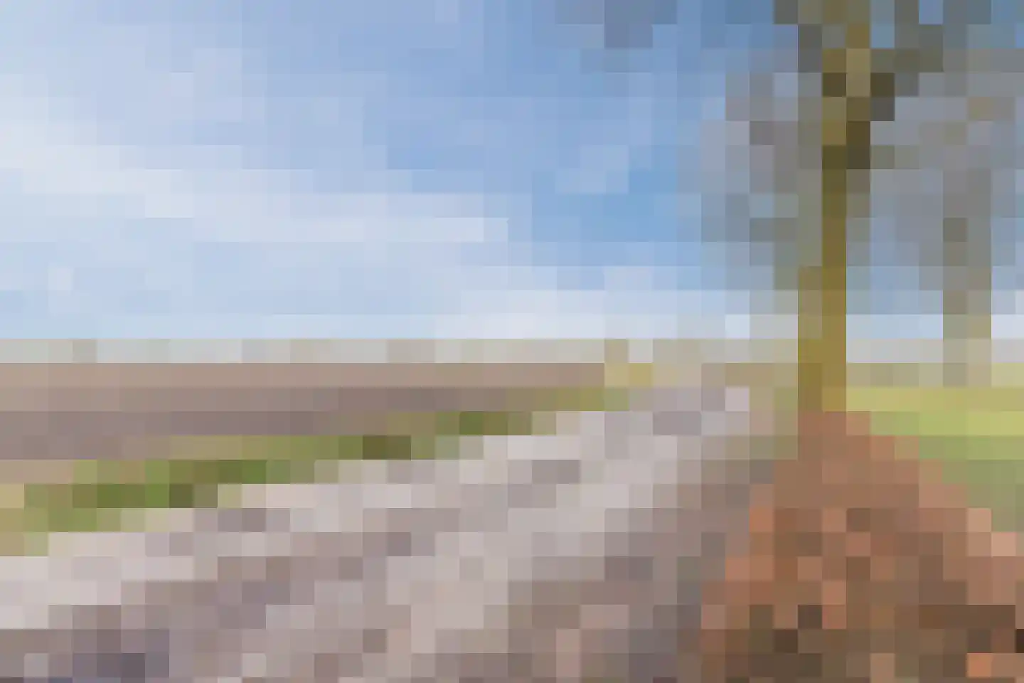 Elstpad 22 Hilvarenbeek thumbnail 37