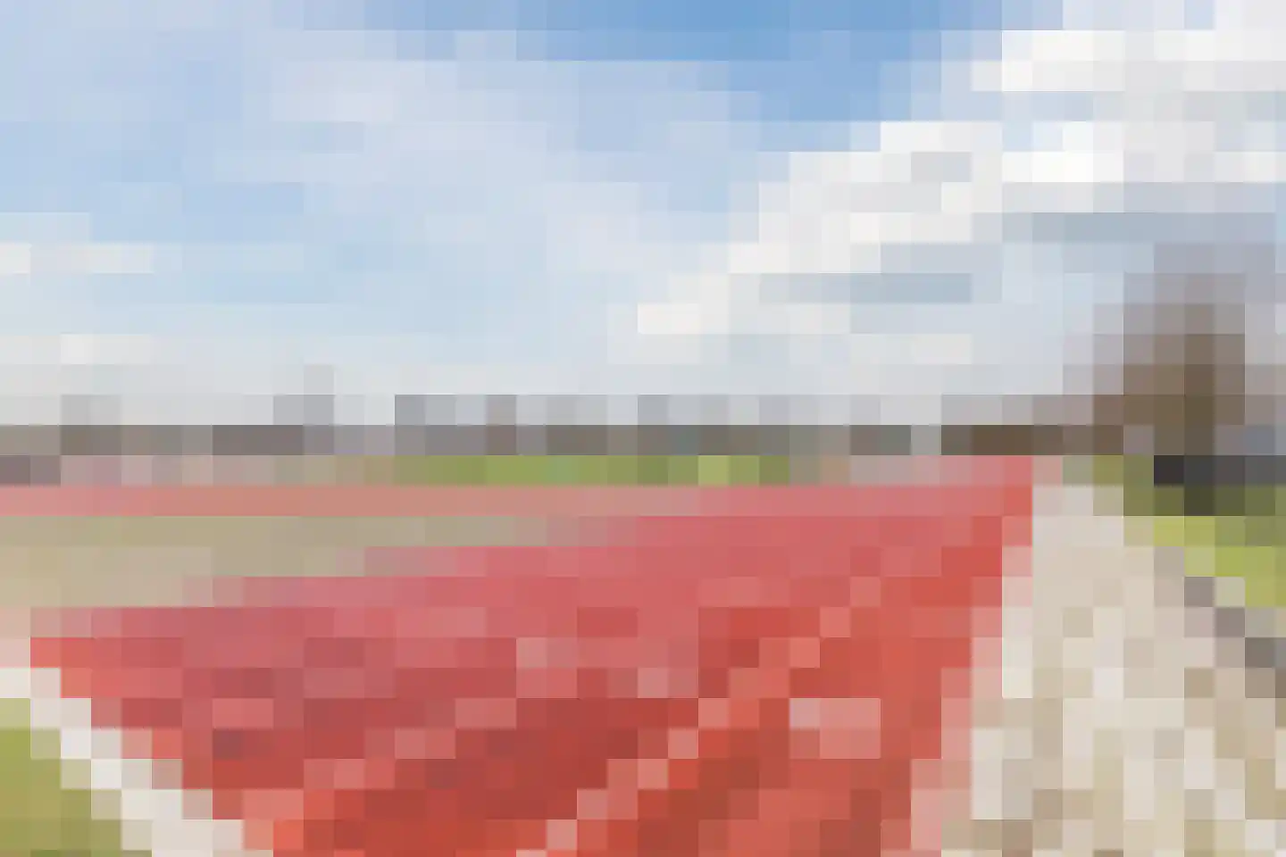 Elstpad 22 Hilvarenbeek thumbnail 40