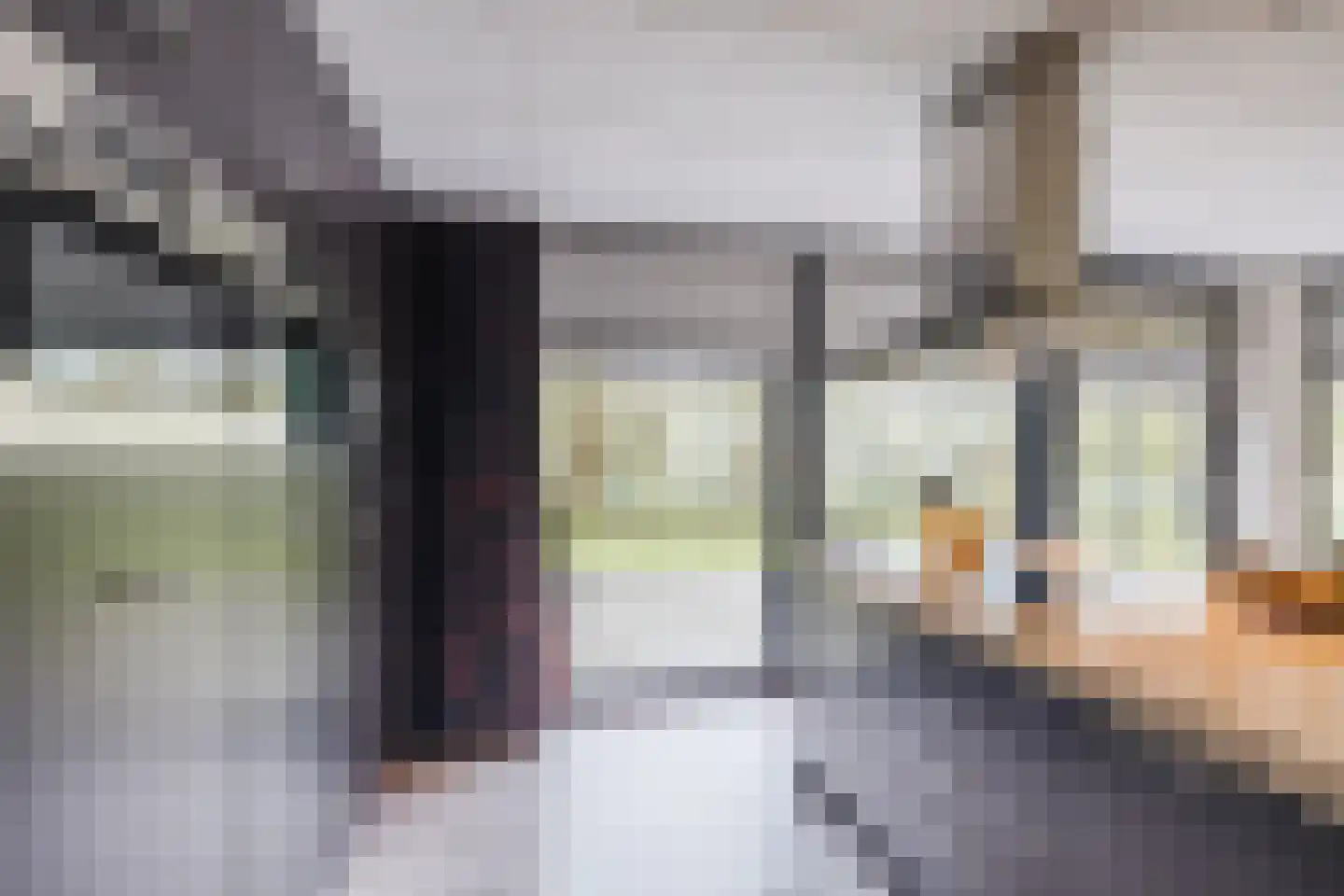 Elsweg 15 9 Noordwolde thumbnail 10