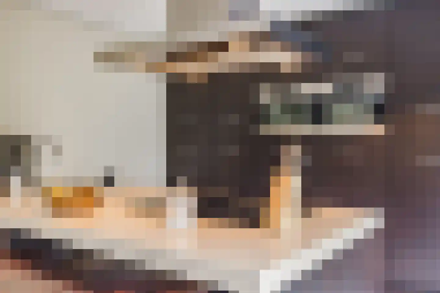 Elsweg 15 9 Noordwolde thumbnail 13