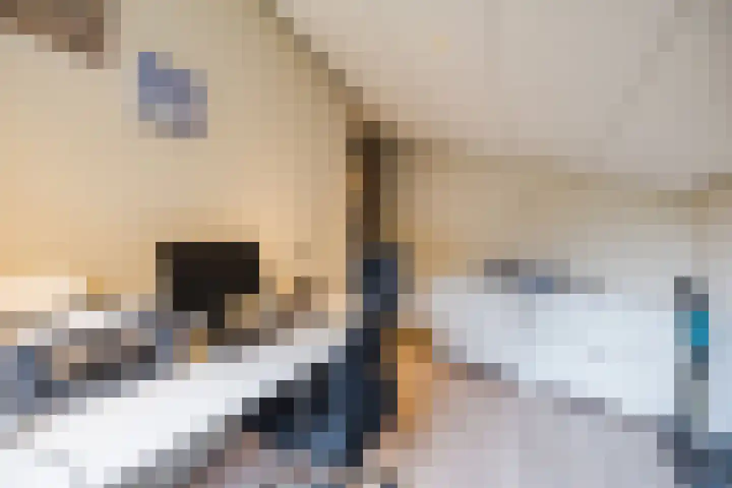 Elsweg 15 9 Noordwolde thumbnail 31
