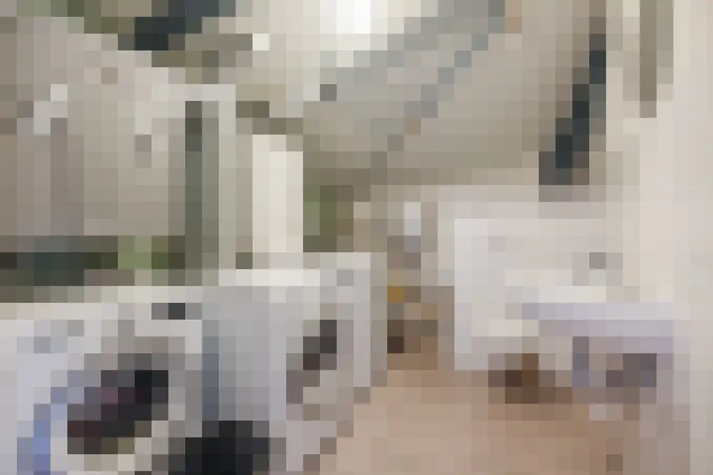 Elsweg 15 9 Noordwolde thumbnail 32