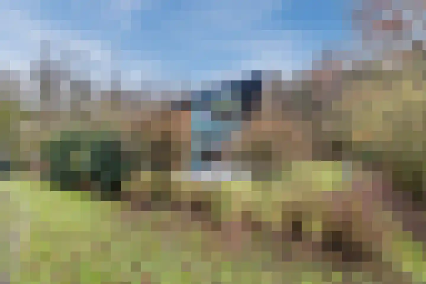 Elsweg 15 9 Noordwolde thumbnail 38