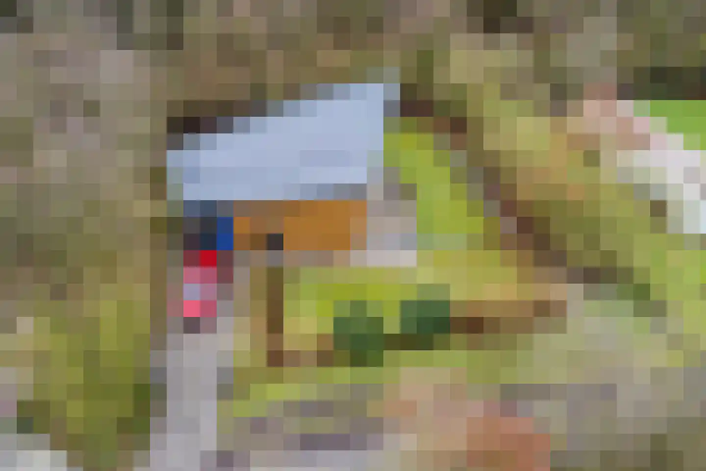 Elsweg 15 9 Noordwolde thumbnail 39