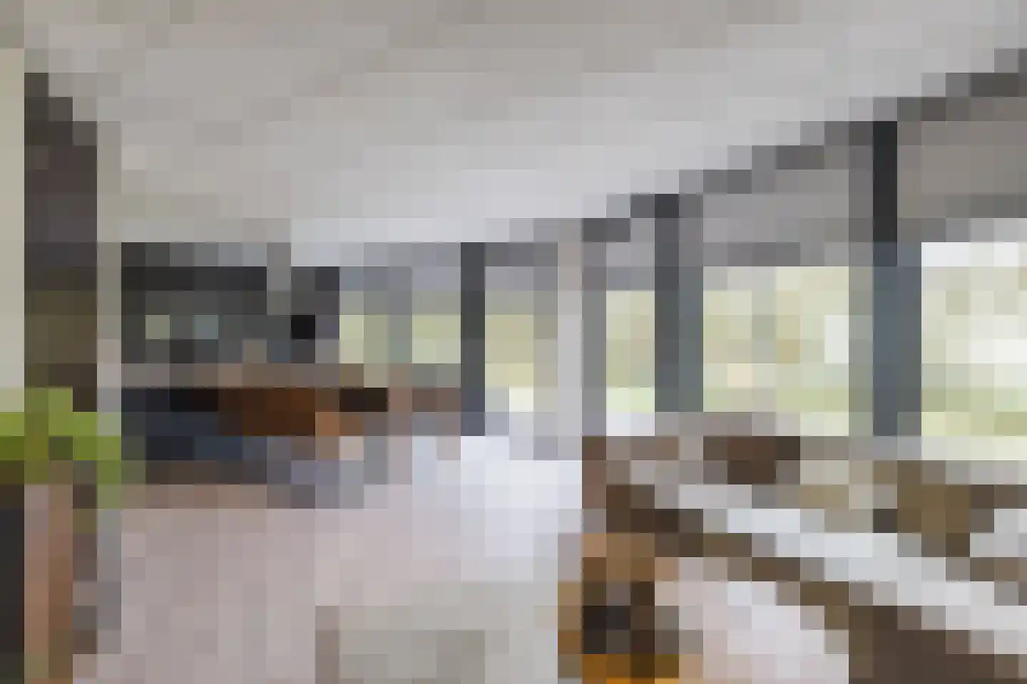 Elsweg 15 9 Noordwolde thumbnail 4