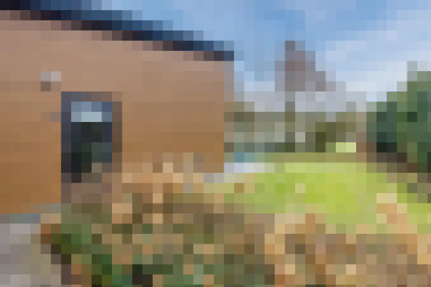 Elsweg 15 9 Noordwolde thumbnail 40