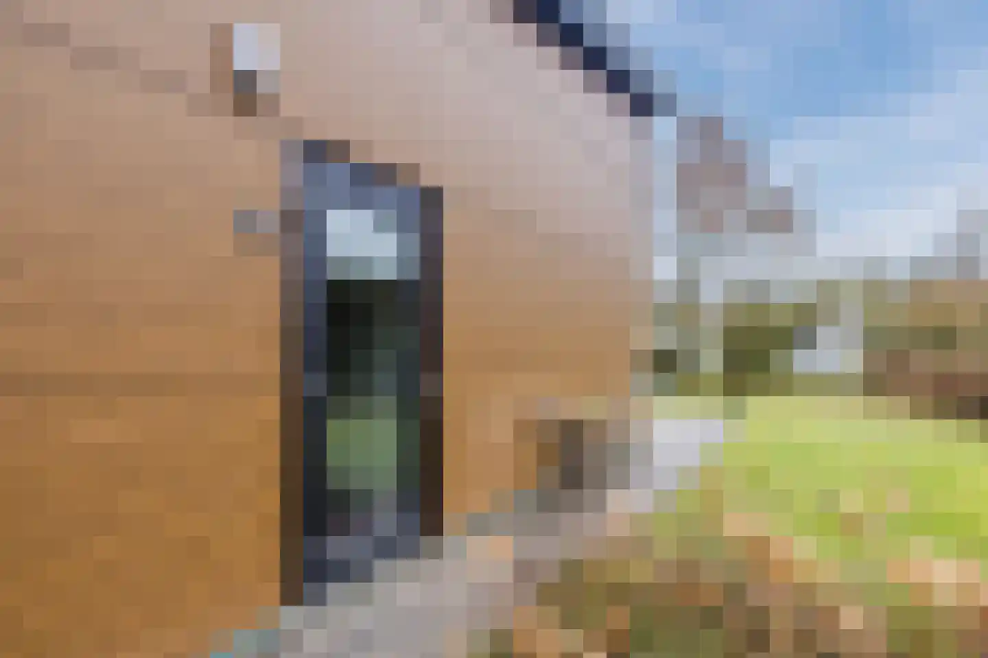 Elsweg 15 9 Noordwolde thumbnail 41