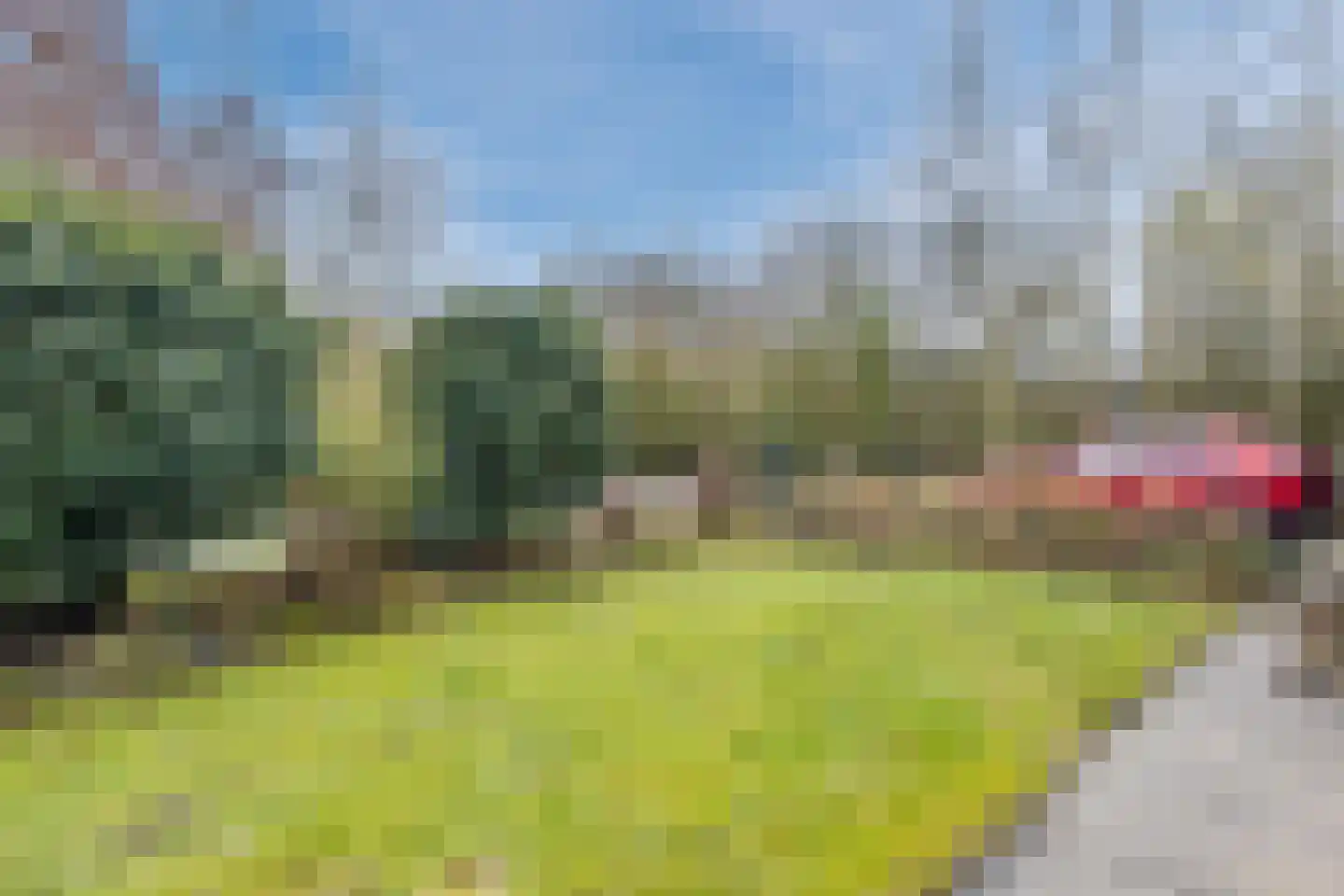 Elsweg 15 9 Noordwolde thumbnail 44