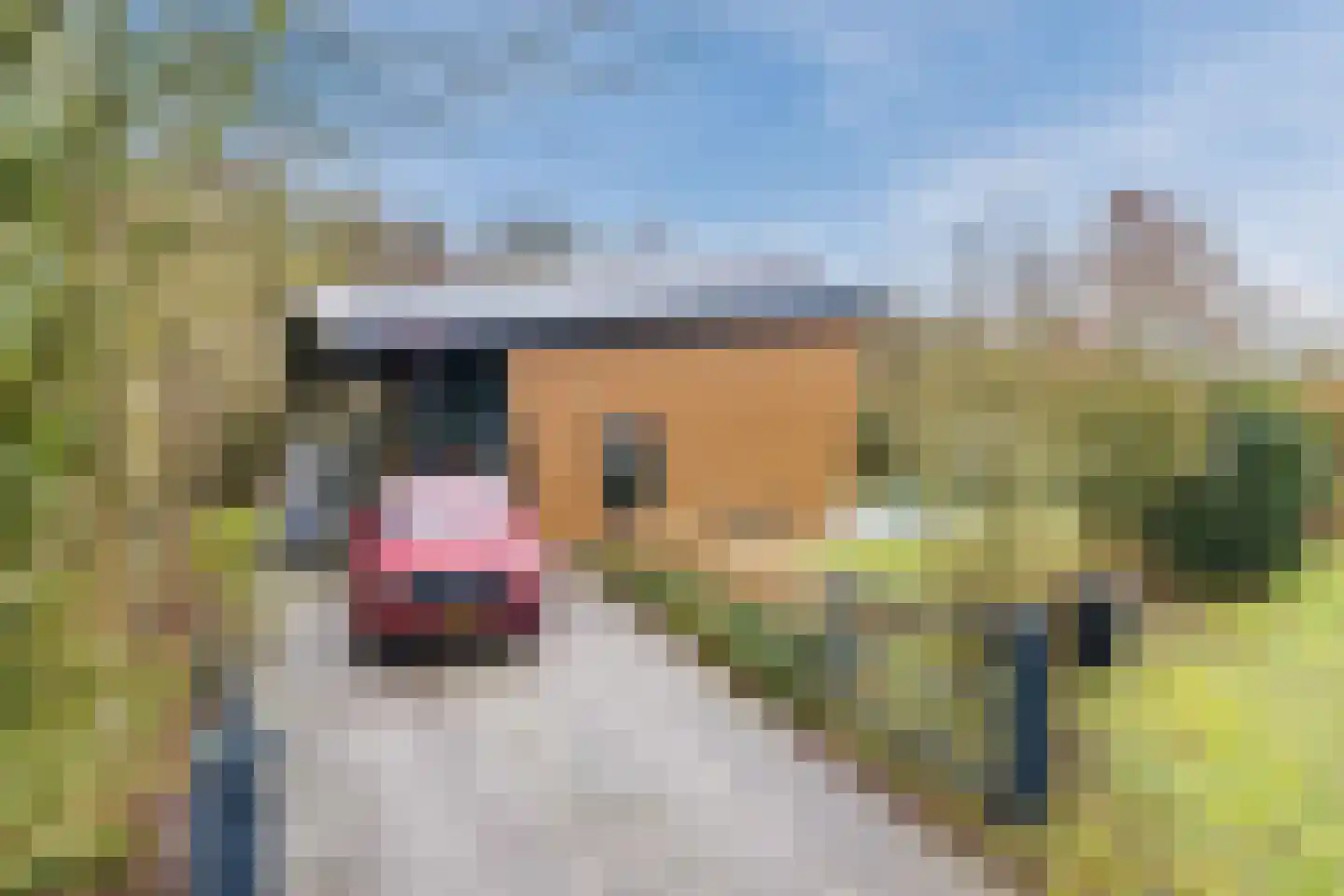 Elsweg 15 9 Noordwolde thumbnail 45