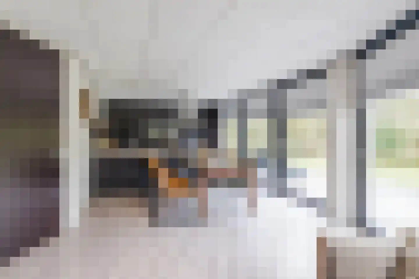 Elsweg 15 9 Noordwolde thumbnail 5
