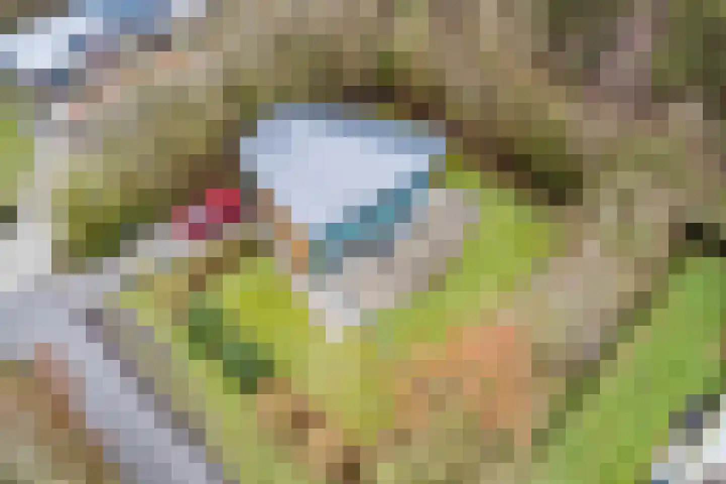 Elsweg 15 9 Noordwolde thumbnail 51
