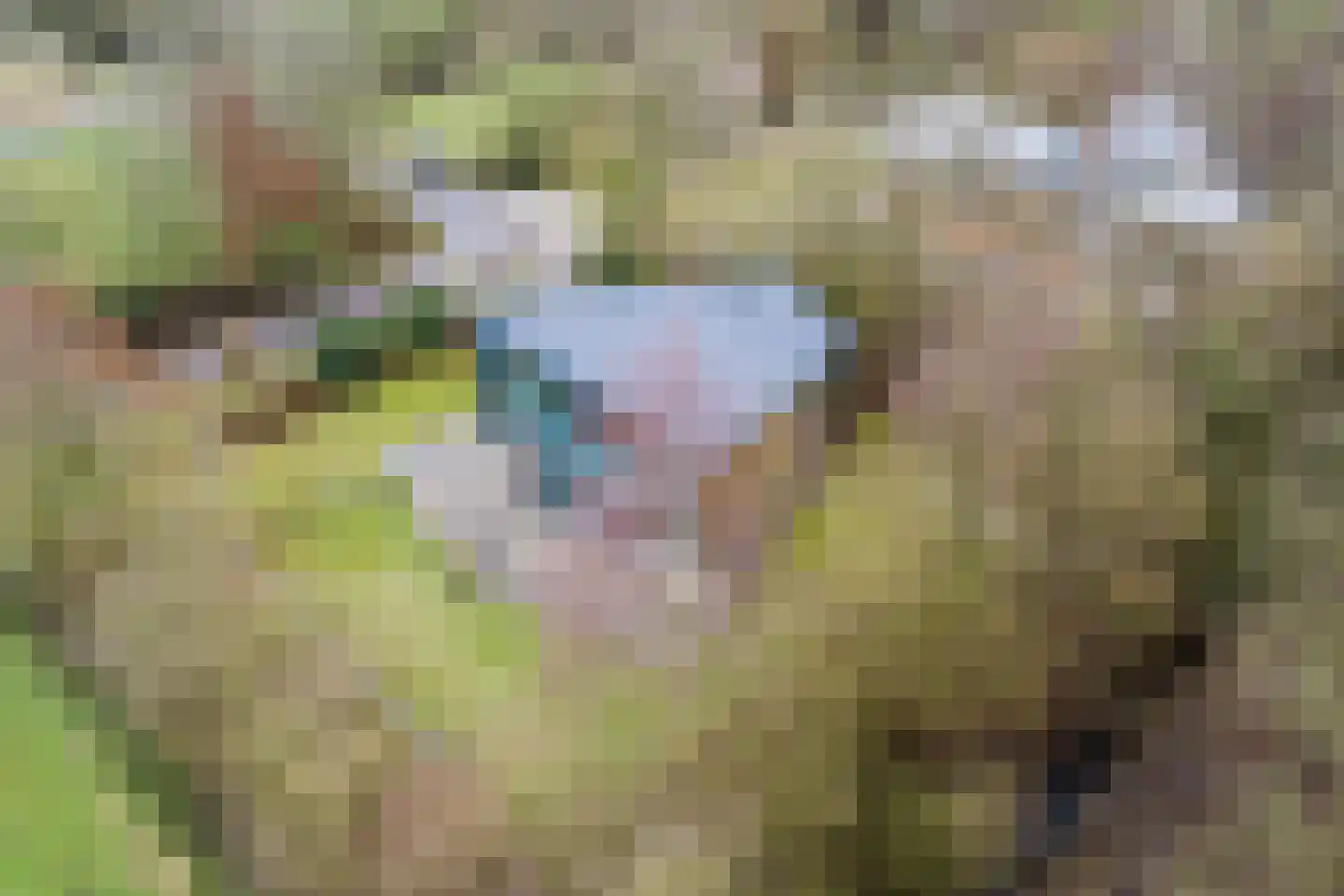 Elsweg 15 9 Noordwolde thumbnail 52