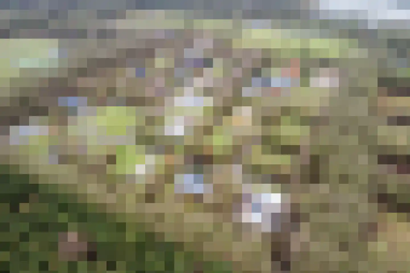 Elsweg 15 9 Noordwolde thumbnail 53