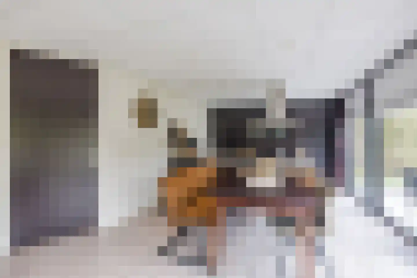 Elsweg 15 9 Noordwolde thumbnail 7