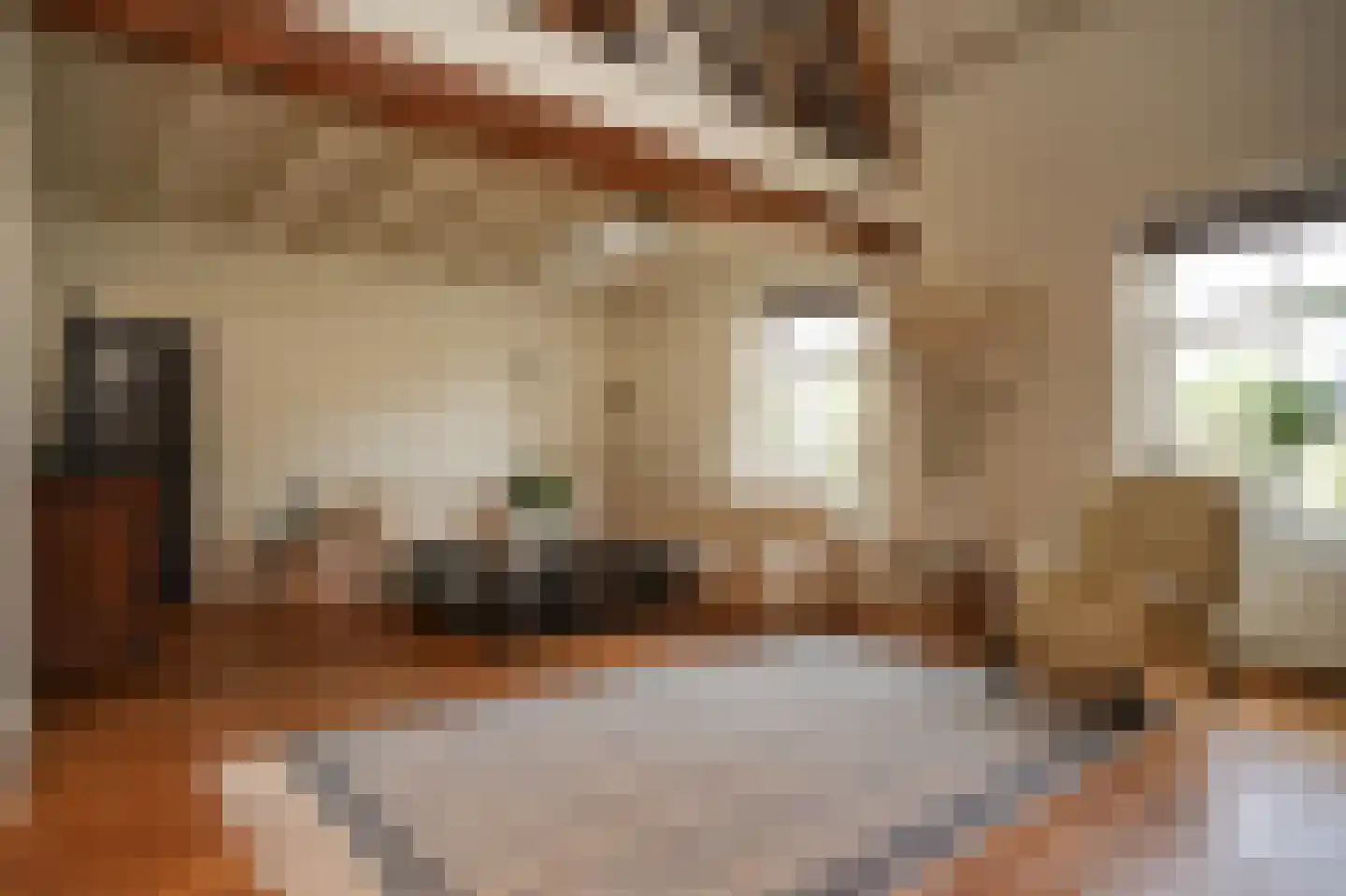 Elsweg 3 Alphen thumbnail 10