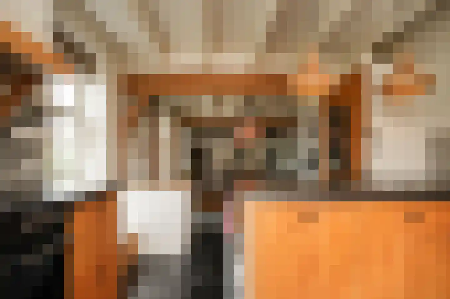 Elsweg 3 Alphen thumbnail 21