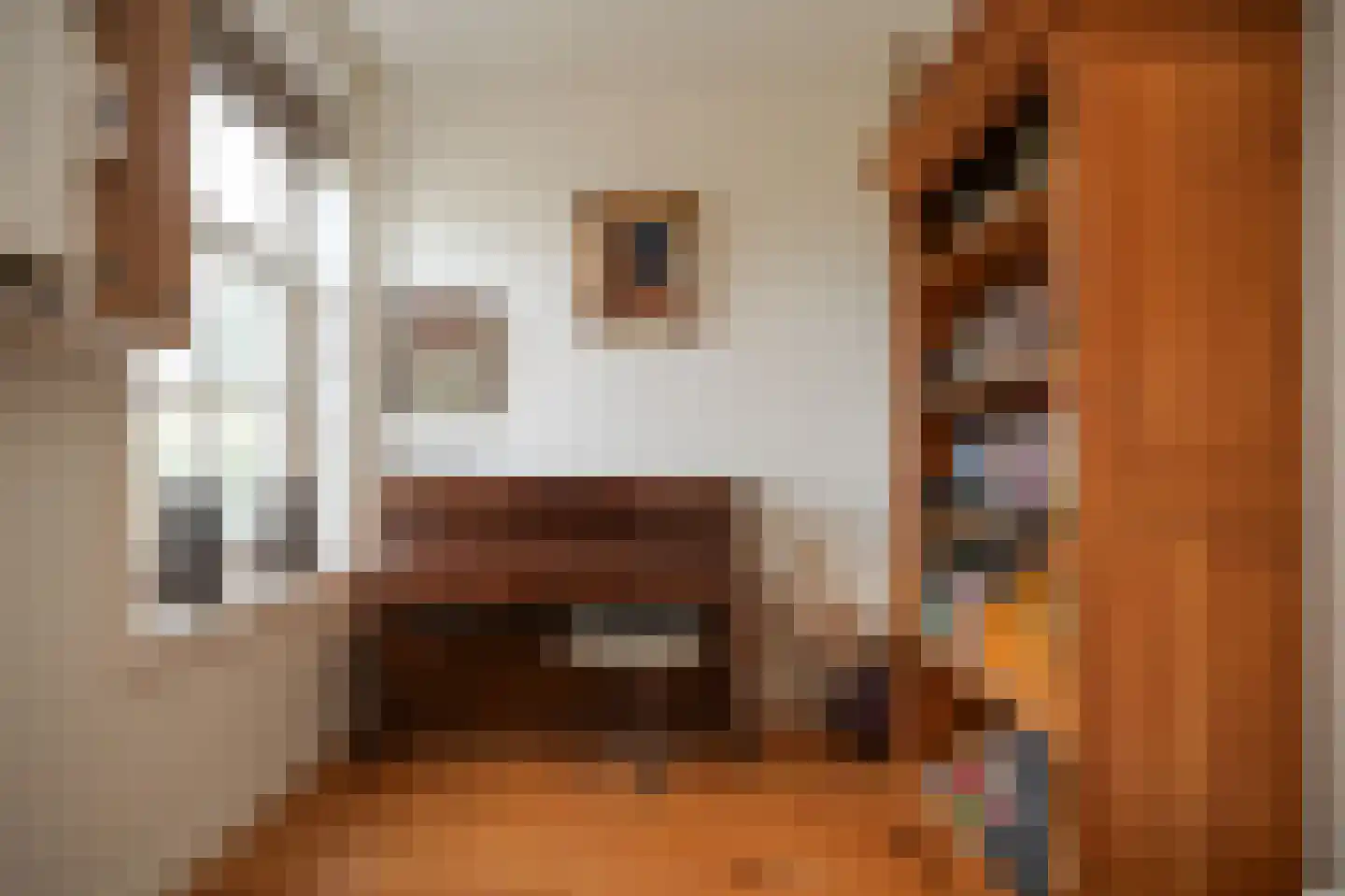 Elsweg 3 Alphen thumbnail 28