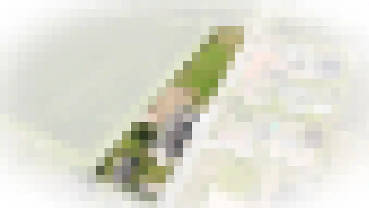 Elsweg 3 Alphen foto 3