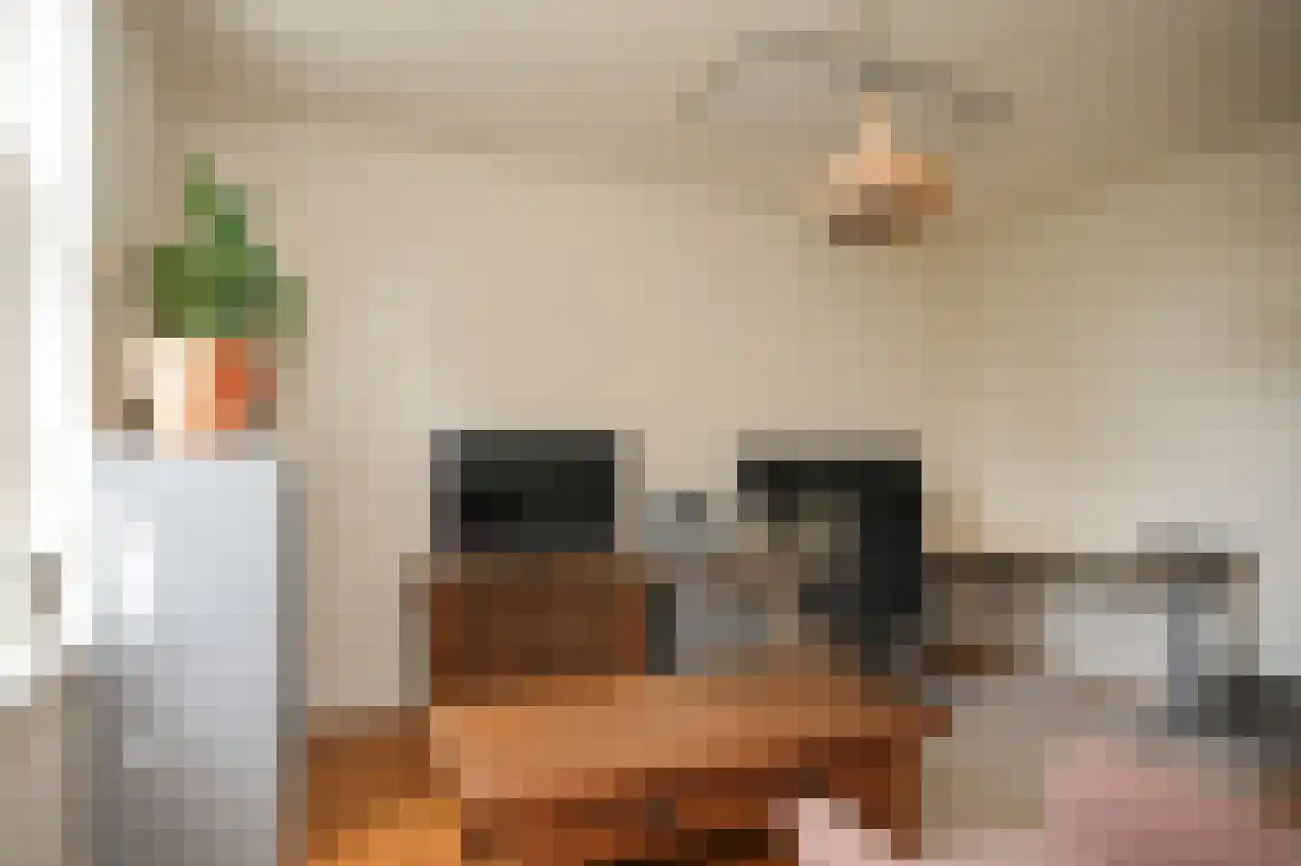 Elsweg 3 Alphen thumbnail 34