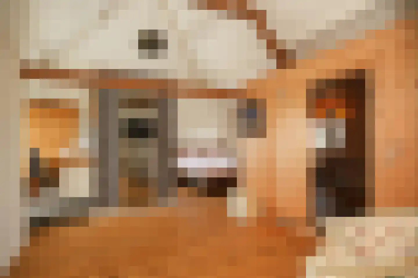 Elsweg 3 Alphen thumbnail 38