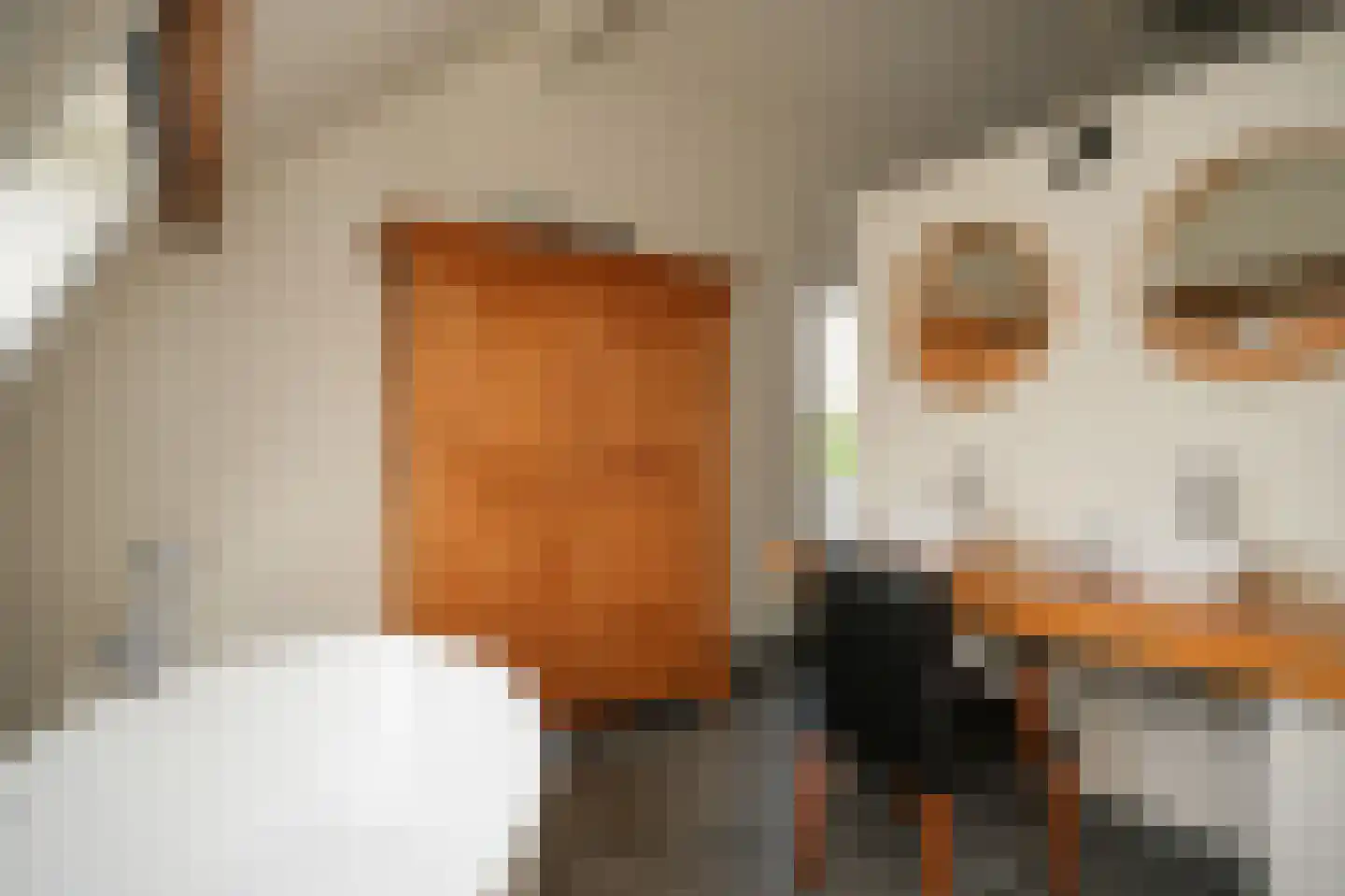 Elsweg 3 Alphen thumbnail 42