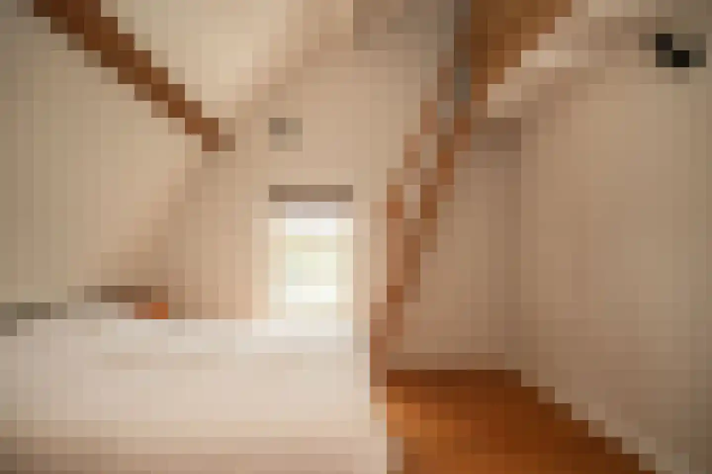 Elsweg 3 Alphen thumbnail 47