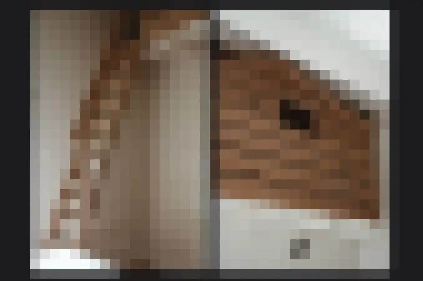 Elsweg 3 Alphen thumbnail 48
