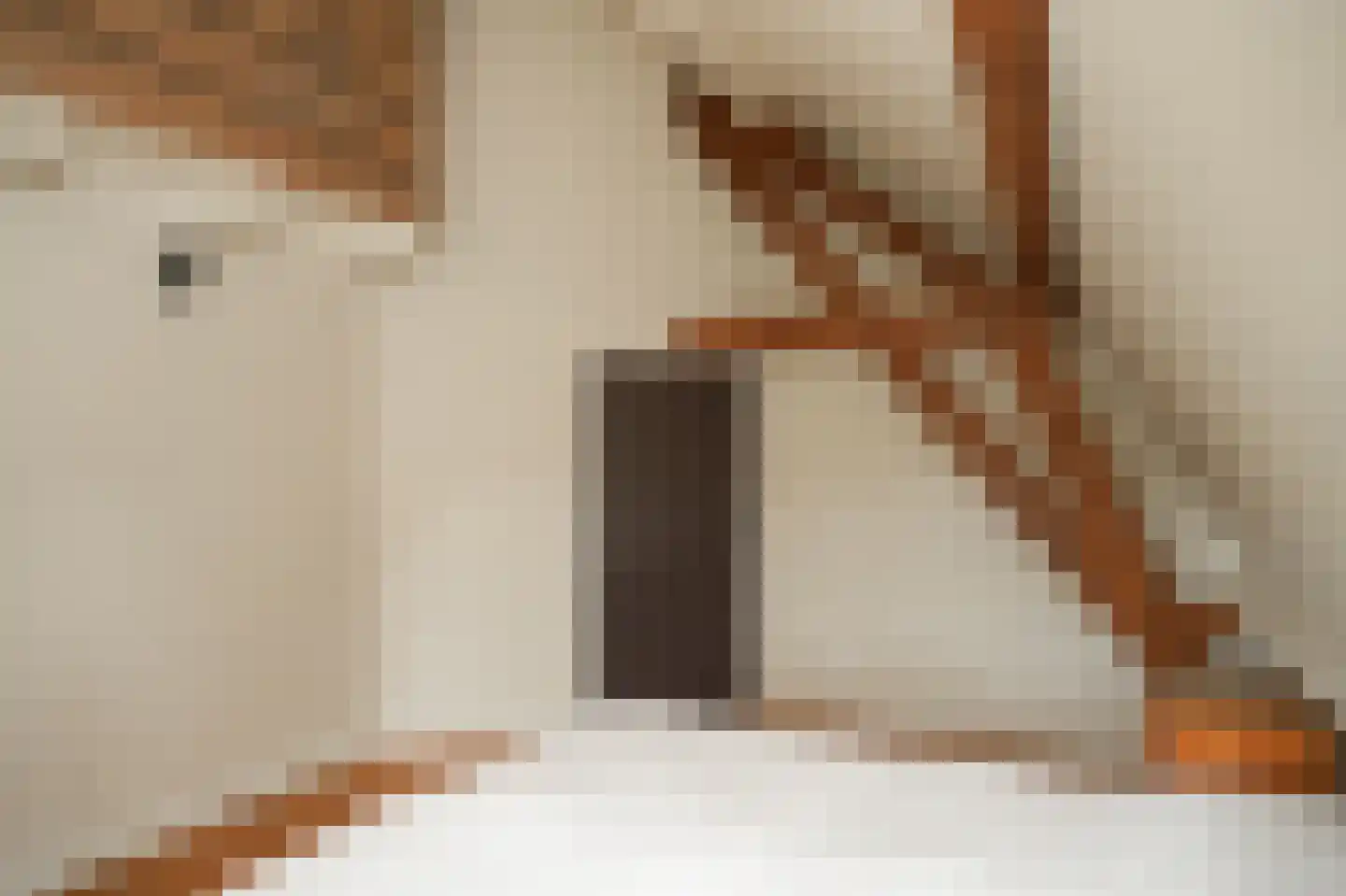 Elsweg 3 Alphen thumbnail 49