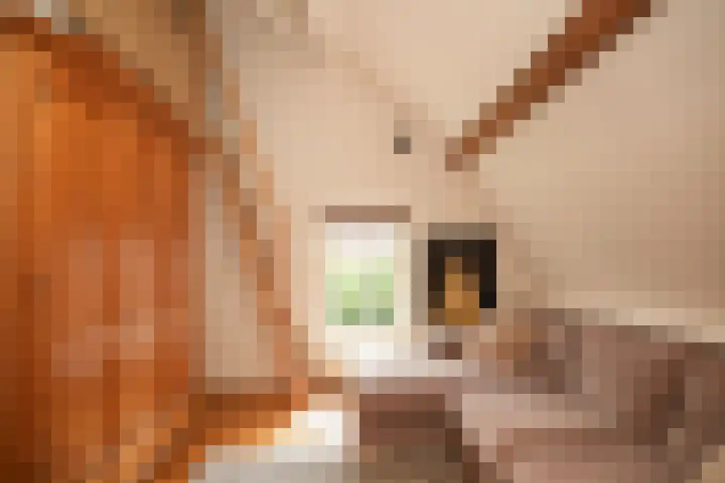 Elsweg 3 Alphen thumbnail 50