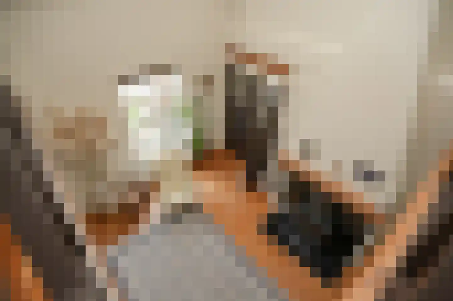Elsweg 3 Alphen thumbnail 55